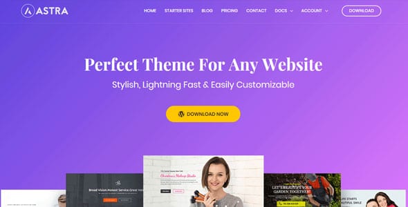 Astra Theme Review: The Best WordPress Theme for Customizable Websites