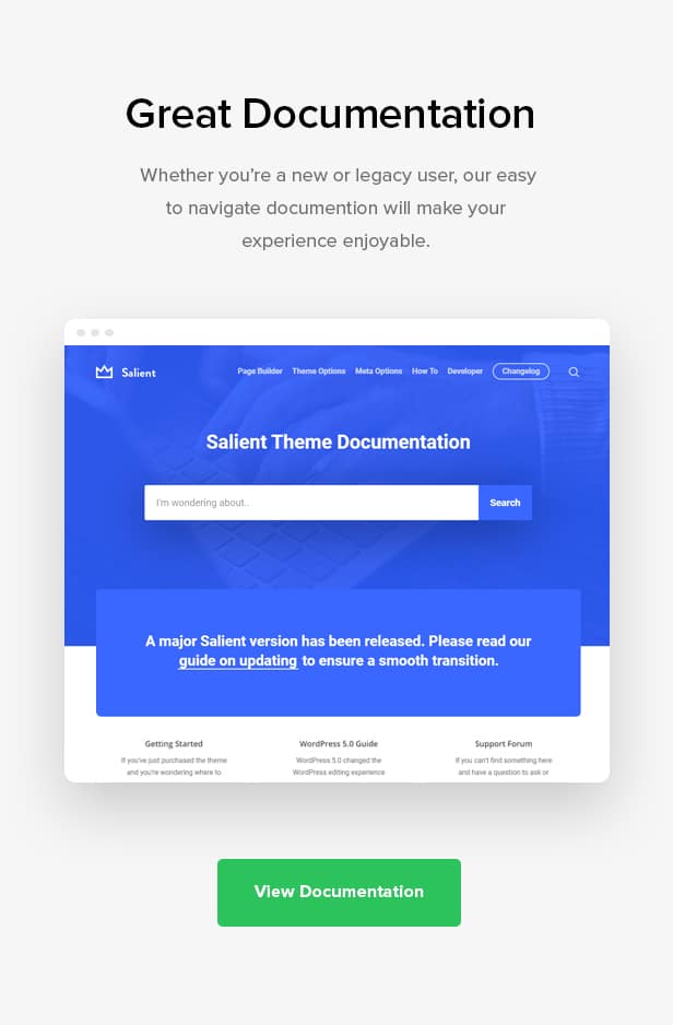 Salient Theme Documentation and Support 