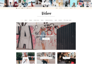 wpzoom velure